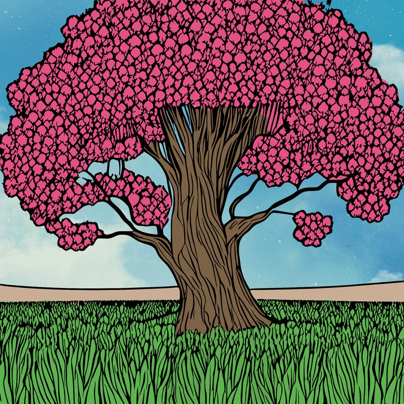 field of blooming flowers with a large tree