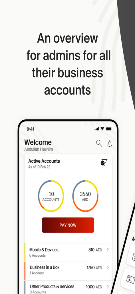 e& Business UAE - The e and Business UAE app dashboard displaying an overview of active business accounts and a pay now button for administrators