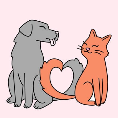 animals_22