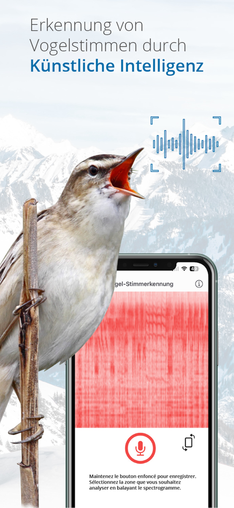 Vogelführer Birdlife Schweiz - スイスアルプスでのAI鳥の歌認識のためのスペクトログラムを表示するスマートフォンアプリ