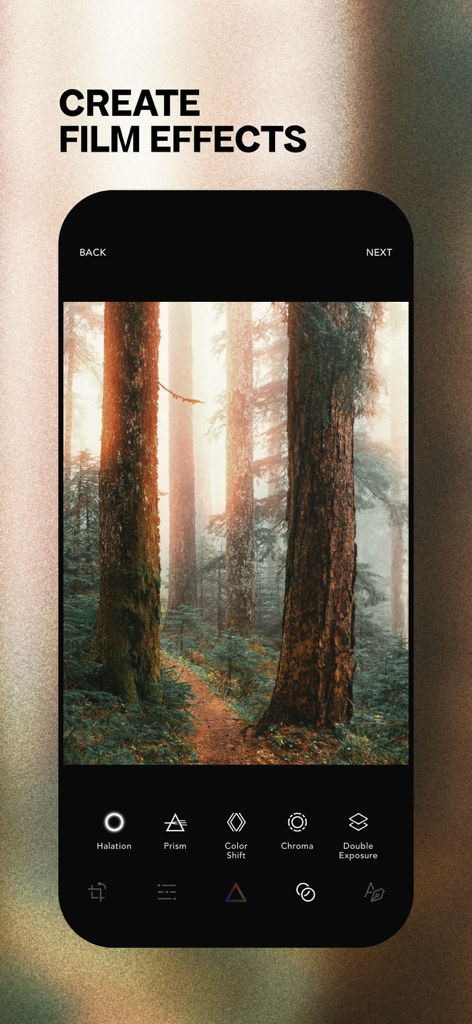 Afterlight app screen displaying a forest photo with film effect editing tools
