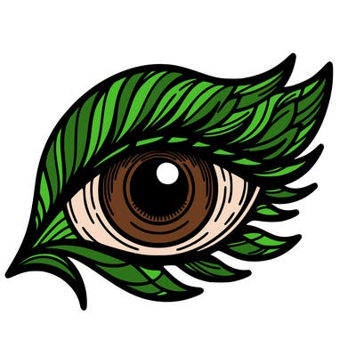 eye