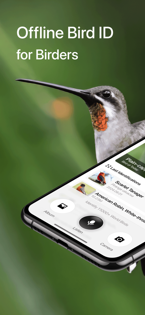 Aboutbirds - ハチドリの背景の上に、オフライン鳥識別機能と最後の識別された鳥のリストが表示されたAboutbirdsアプリのインターフェイスを示すスマートフォン
