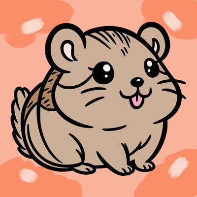 𝚑𝚊𝚖𝚜𝚝𝚎𝚛