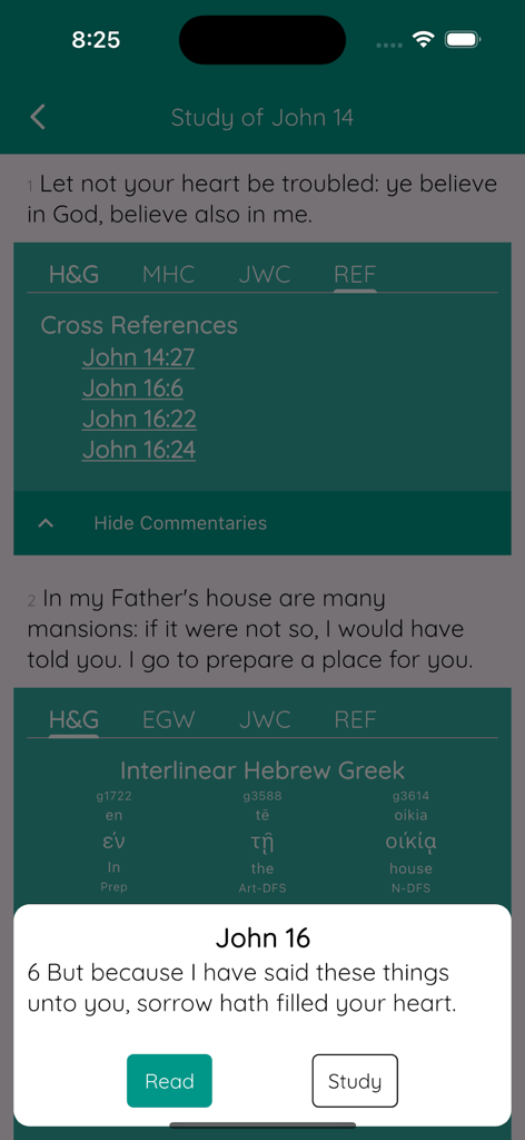 ionBible: Read, Study & Listen - ionBible app screen showing interlinear Hebrew and Greek text and cross references for Bible study