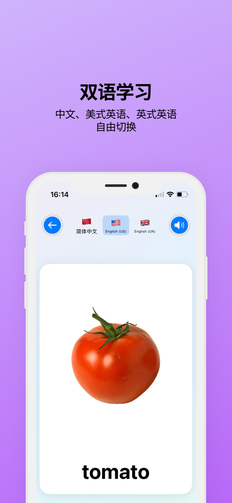 宝宝卡片-双语大百科 - Bilingual early education flashcard showing a realistic tomato with Chinese and English language options