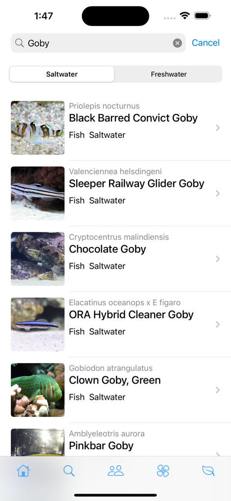 AquaticLog - Pantalla de resultados de búsqueda en la aplicación AquaticLog que muestra varias especies de peces góbidos de agua salada con fotos y nombres científicos.