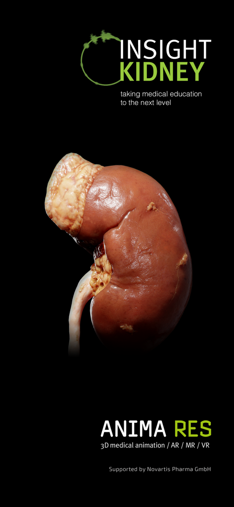INSIGHT KIDNEY - Anatomically detailed 3D model of a human kidney from the Insight Kidney medical app.