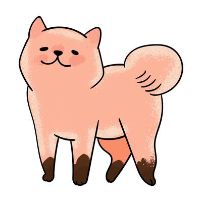 animals_29
