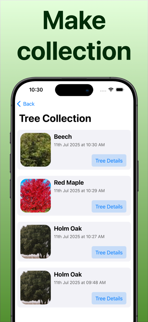 Tree Identifier: Tree id - Pantalla de la aplicación móvil mostrando una colección de árboles identificados, incluyendo Haya y Arce Rojo, con fechas de escaneo y detalles.