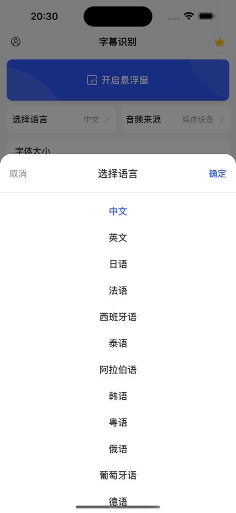 字幕识别-视频字幕翻译识别语音识别翻译器 - The subtitle recognition app displaying a list of languages for real-time video translation