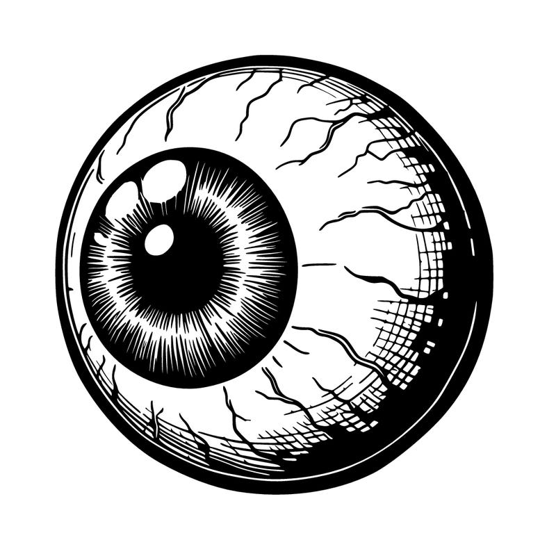 very realistic eyeball