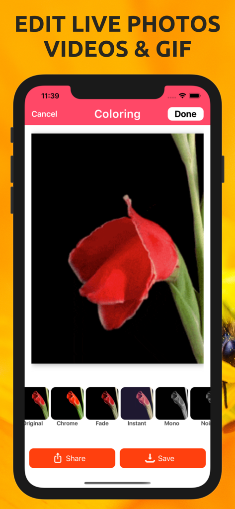 Gif Converter : Live Wallpaper - Gif Converter app interface showing coloring filters for live photos and videos