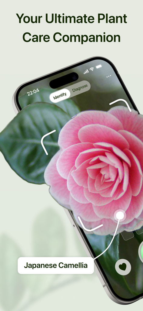 Plant AI - Identify & Care - Un smartphone utilisant Plant AI pour identifier une fleur de Camélia du Japon rose