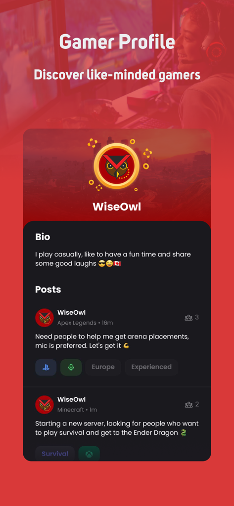GamerLink LFG, Find Teammates! - Interface de l'application GamerLink affichant un profil utilisateur avec bio et annonces de recherche de groupe (LFG).