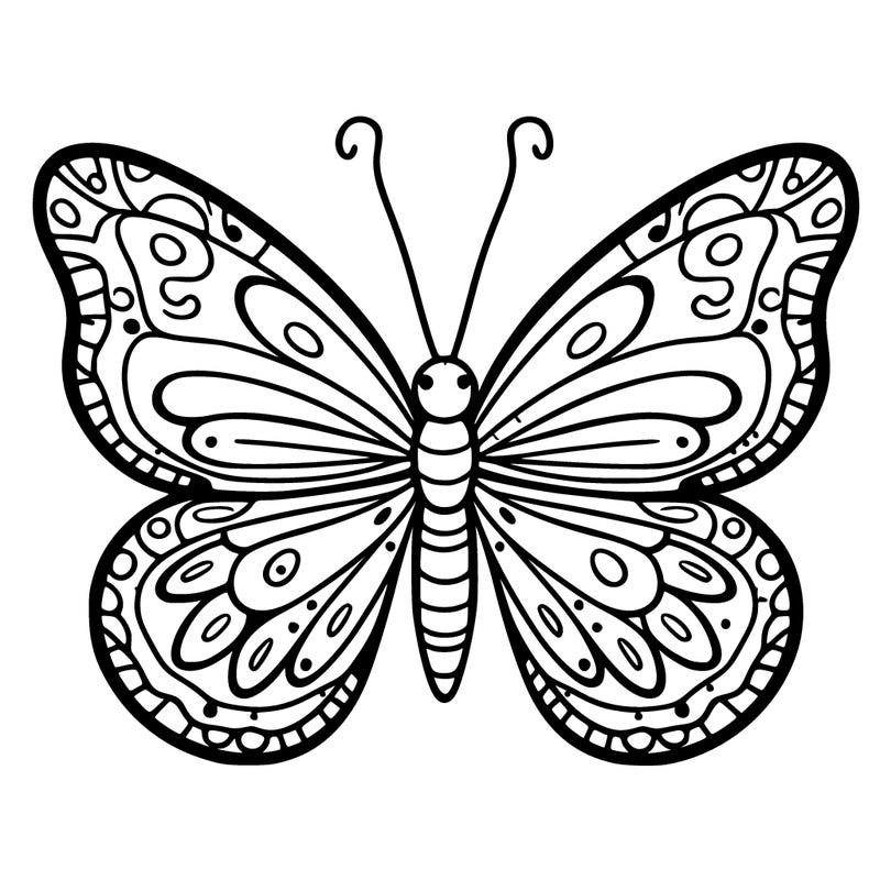 butterfly