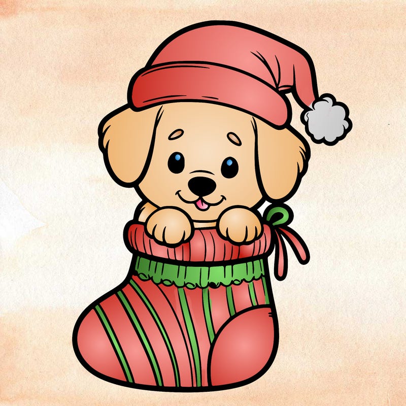 cute puppy wearing santa hat in socking