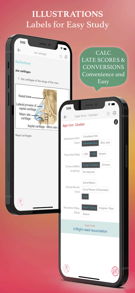 Dorland Pkt Medical Dictionary - Screenshots of the Dorland medical dictionary app displaying a labeled anatomical illustration of nasal cartilages and an Apgar score calculator.