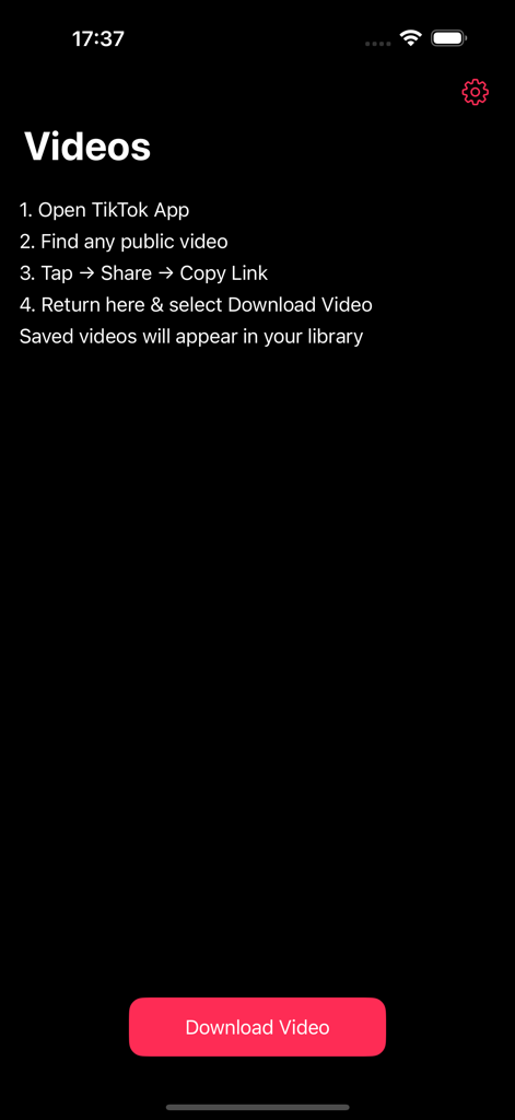 Instruction screen of the TT Saver app explaining how to download TikTok videos using a link