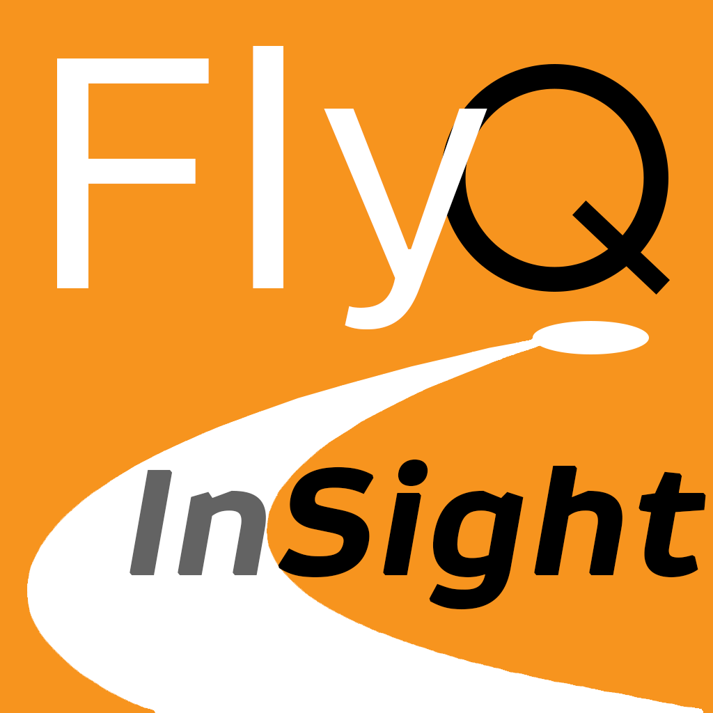 FlyQ InSight - Navigation App | MWM