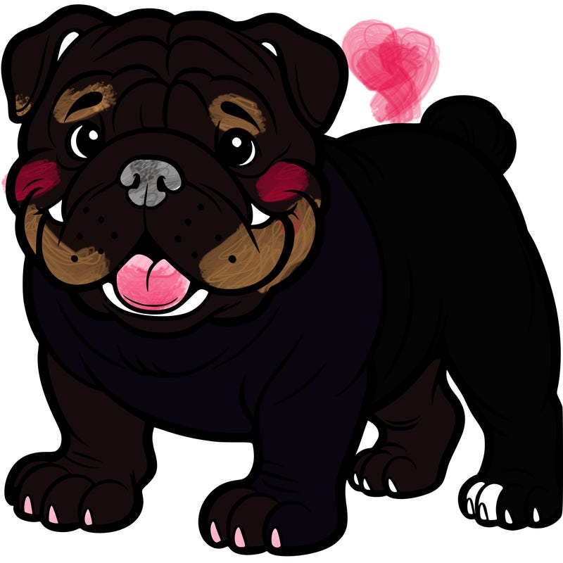 english bulldog