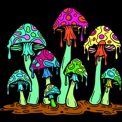 drippy trippy mushrooms