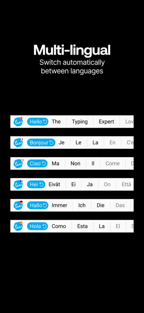 Typewise Offline Keyboard - A screenshot demonstrating the automatic language switching feature of Typewise keyboard.