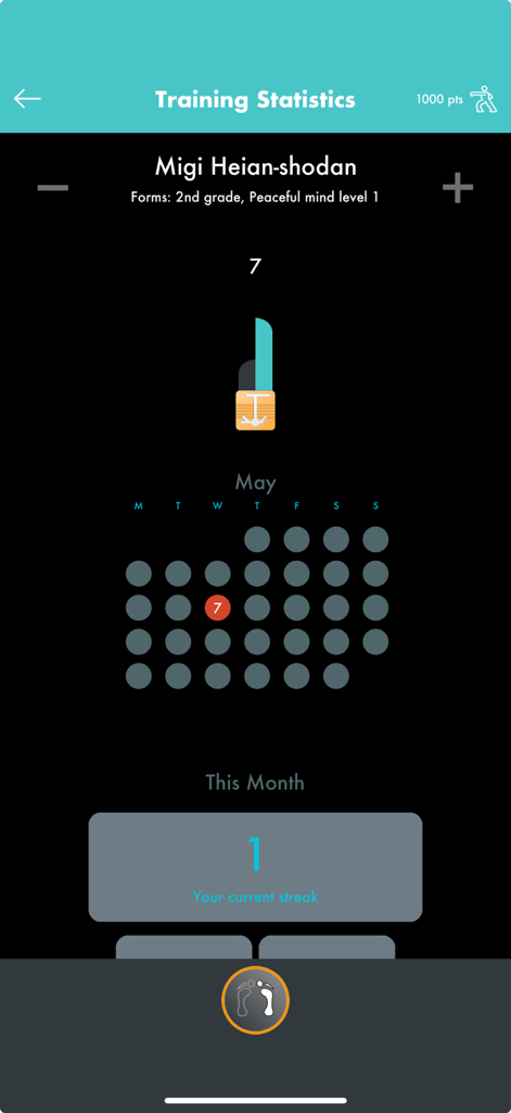 Movements Karate - Movements Karate app training statistics screen showing a practice calendar and a one day streak for a karate form