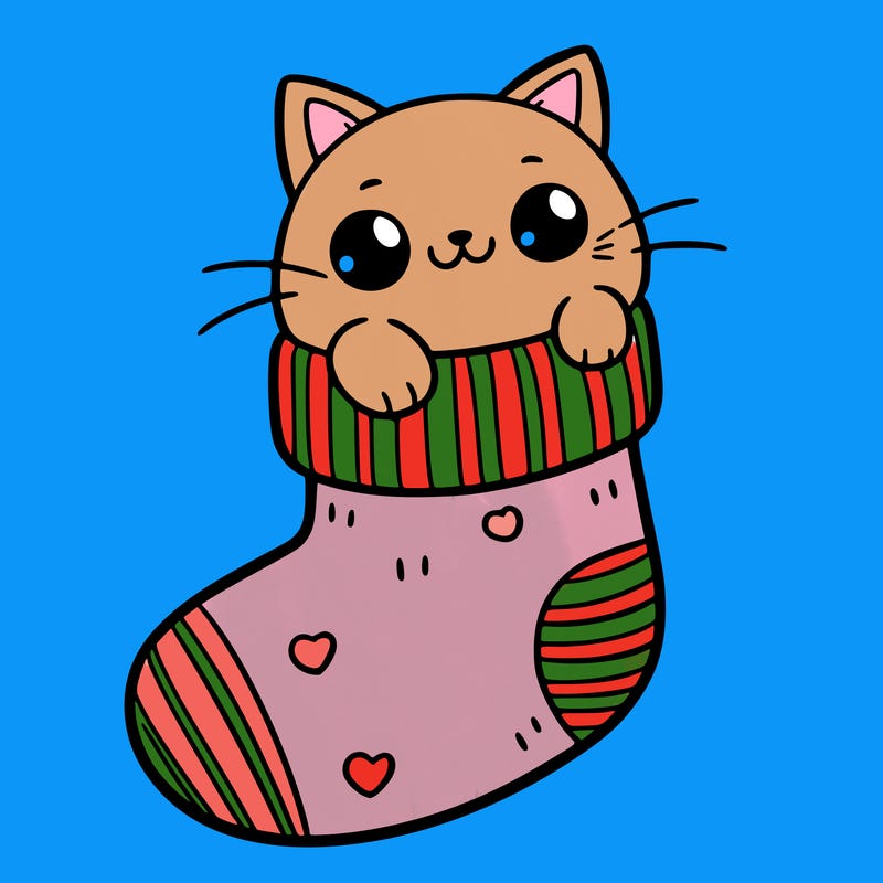 cute cat in a sock