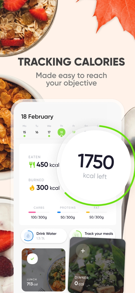 Painel do aplicativo Nutri Coach mostrando a ingestão diária de calorias, calorias queimadas e rastreamento de nutrientes macro.