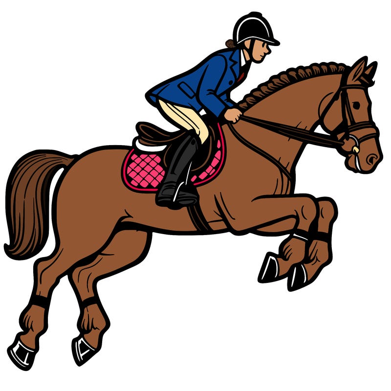 horse with english saddle and rider on top jumping. intr.equitly detailed