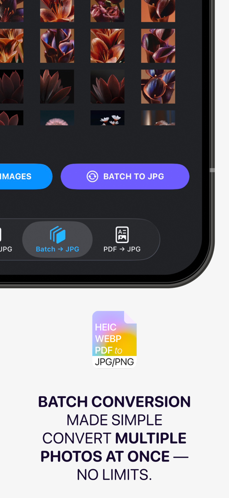 Mobile app interface showing batch conversion of multiple photos to JPG format