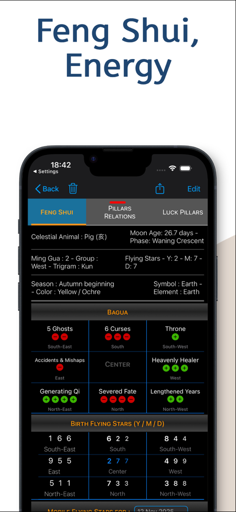 Pillars of Destiny - Detailed Feng Shui energy calculations and Bagua analysis screen.