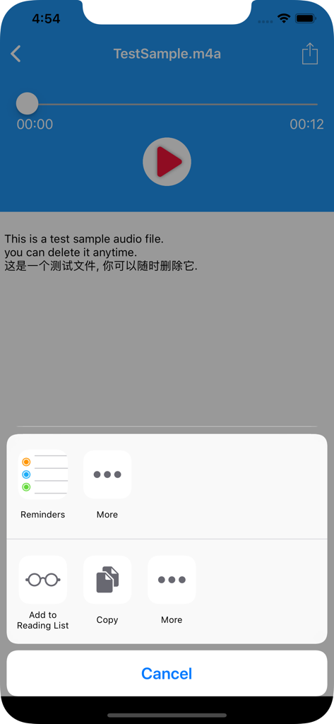 Waytronic Call Recorder - Interfaz de la aplicación Waytronic Call Recorder que muestra la reproducción de audio y la transcripción de voz a texto