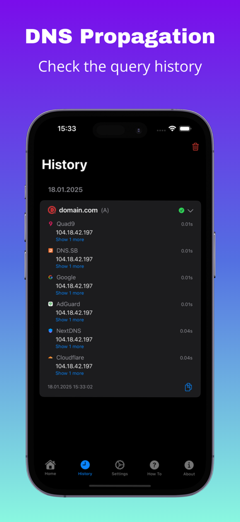 DNS Propagation - A tela de histórico do aplicativo Propagação de DNS mostrando resultados de consultas de DNS passadas e tempos de resposta de vários provedores.