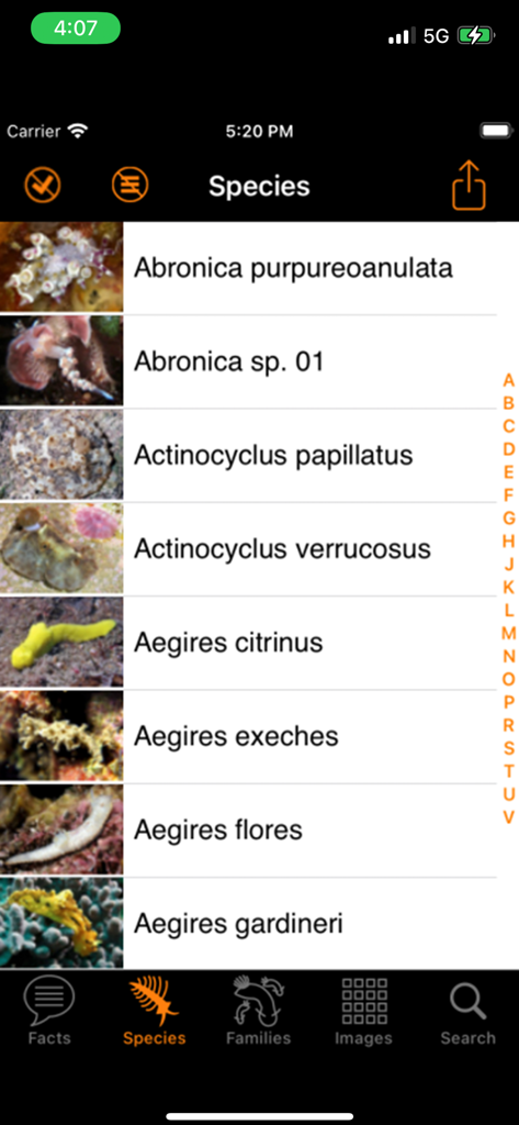 インド太平洋識別アプリの、写真と学名付きのウミウシ種のリスト