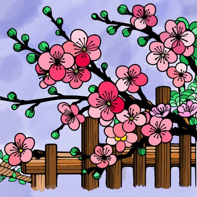 japan cherry blossom