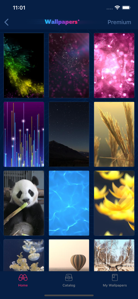 Live Wallpapers · - A grid of high quality live wallpapers including a panda nature scenes and abstract designs in the app interface