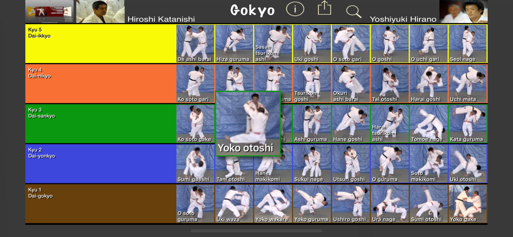Cuadrícula de 40 técnicas básicas de judo categorizadas por niveles de cinturón de kyu