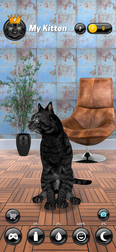 My Kitten (Cat Simulator) - A black tabby kitten sitting in a virtual room with gameplay icons for feeding and care.