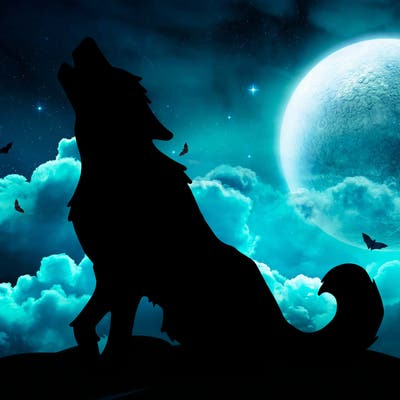 animals_36