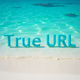 True URL
