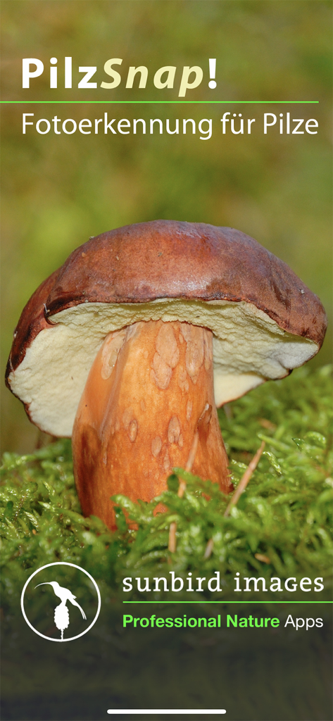 PilzSnap - Pilze sammeln! - Schermata iniziale dell'app PilzSnap per l'identificazione dei funghi tramite riconoscimento fotografico con un fungo marrone su muschio