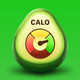 Calo: AI Food Calorie Counter