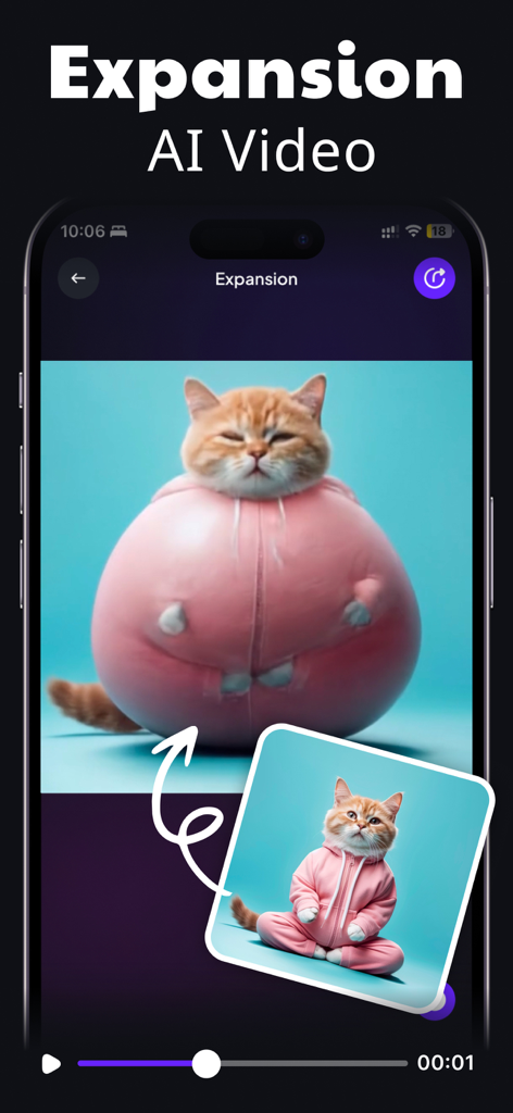 AI Video Generator: VIDIOAI - Interface of the VidioAI app showing the expansion effect being applied to an image of a cat in a pink hoodie.
