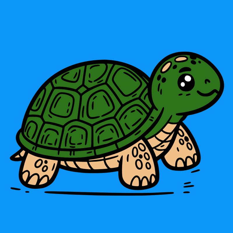 turtle