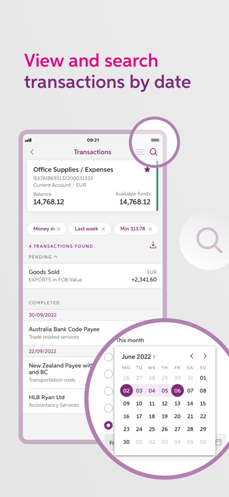 AIB Business iBB mobile app screen showing transaction history with a calendar date picker and search filters