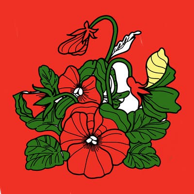 flowers_10