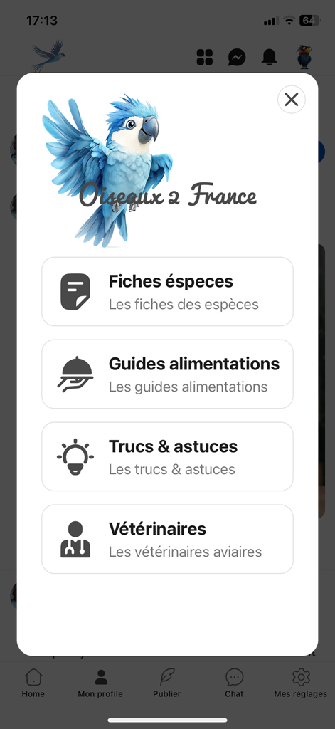 Oiseaux2France - A menu in the Oiseaux2France app showing options for species sheets feeding guides tips and avian veterinarians