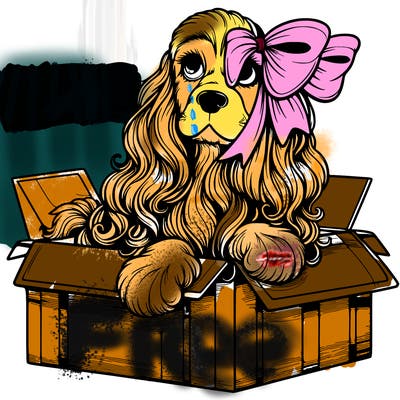 a spaniel american cocker with a beautiful bow coming out if a box realistic cute